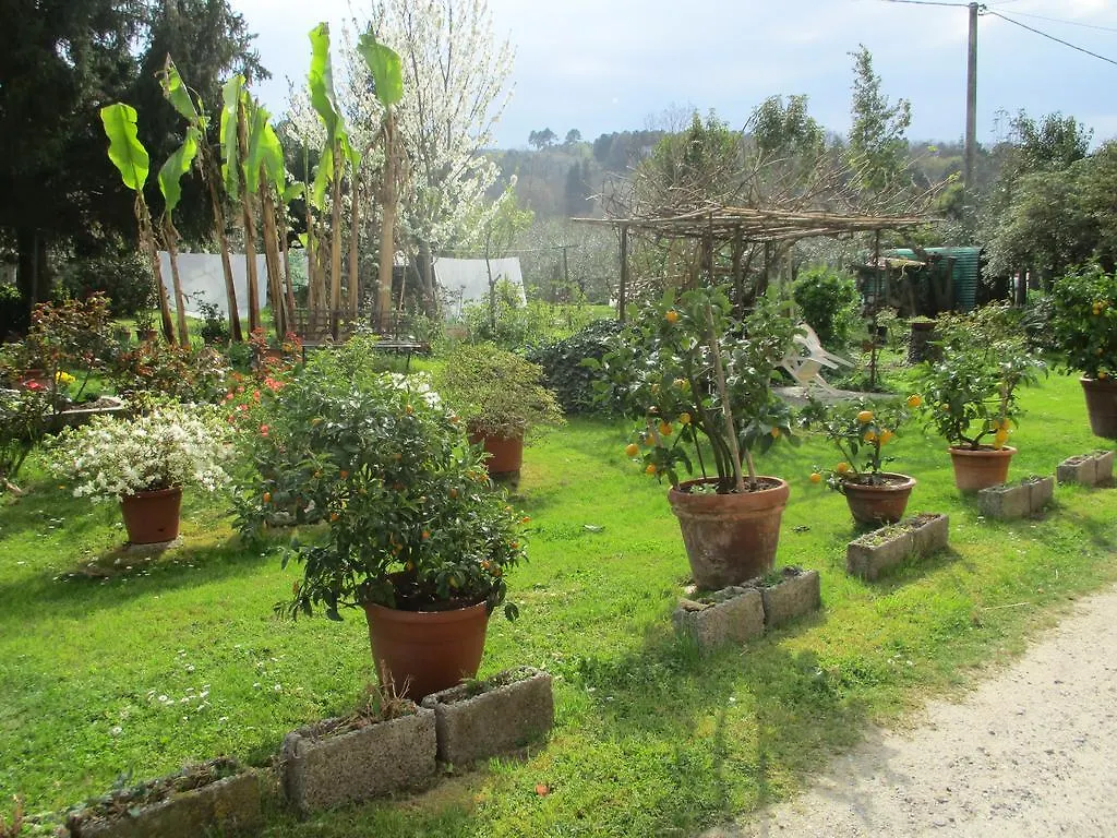 Casa Natya Villa Capannori 0*,  Italy